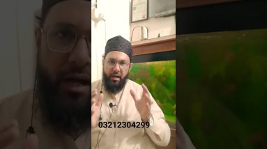 1766031961 maxresdefault