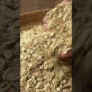 1766037786 maxresdefault