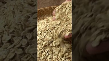 1766037786 maxresdefault