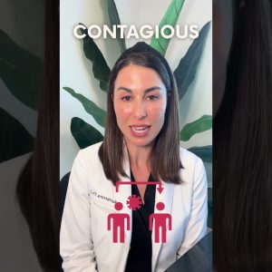 1766052116 maxresdefault