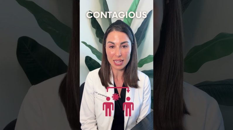 1766052116 maxresdefault