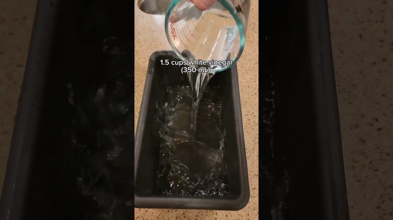 1766055783 maxresdefault