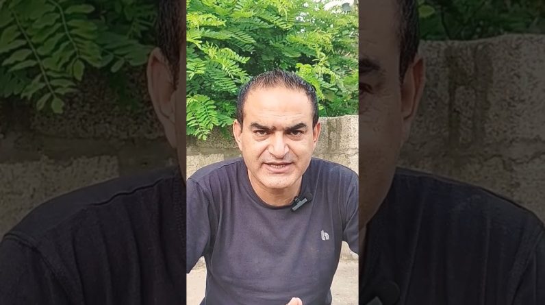 1766071550 maxresdefault