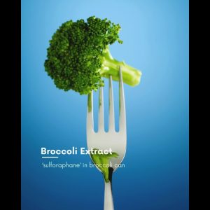 1766086351 maxresdefault