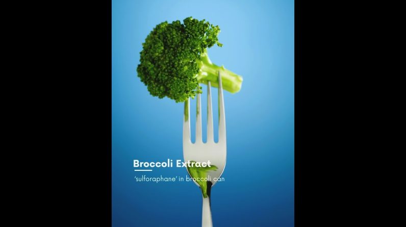 1766086351 maxresdefault