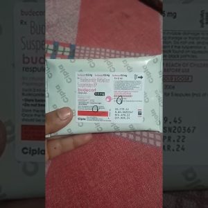 1766111824 maxresdefault