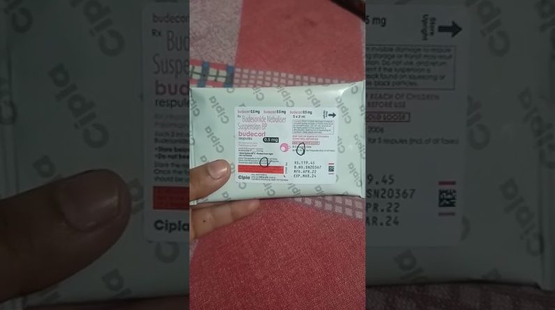 1766111824 maxresdefault