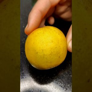 1766111888 maxresdefault