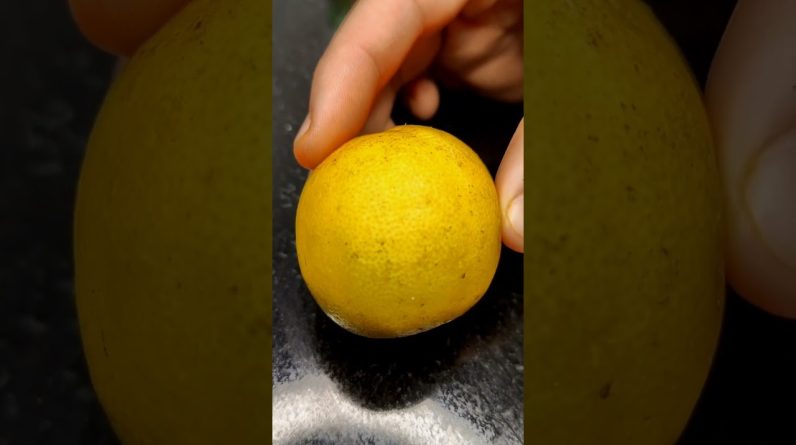 1766111888 maxresdefault