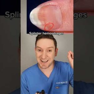 1766115505 hqdefault