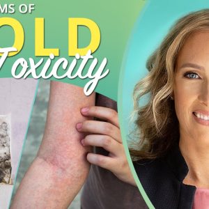 1766137499 maxresdefault