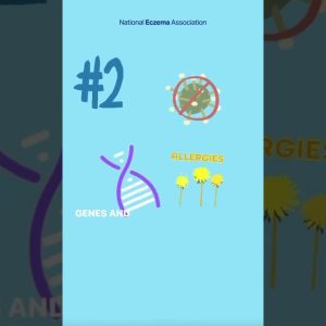 1766140288 maxresdefault