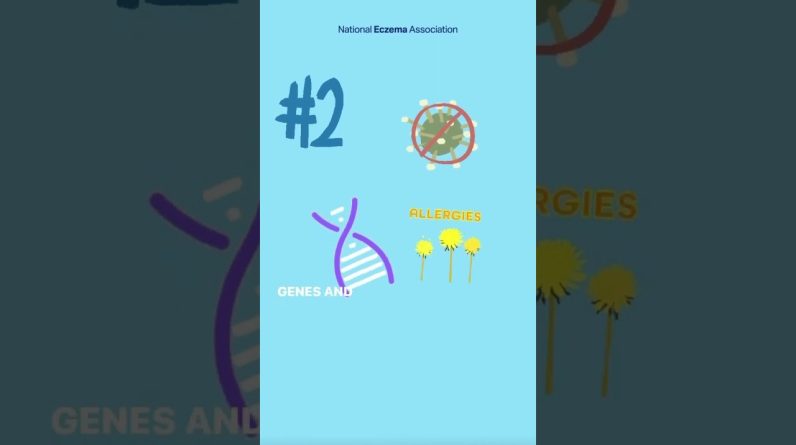 1766140288 maxresdefault