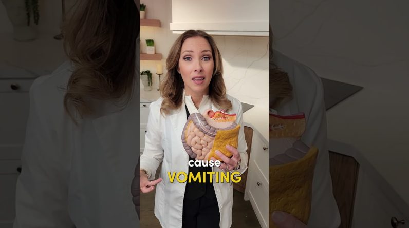 1766148475 maxresdefault