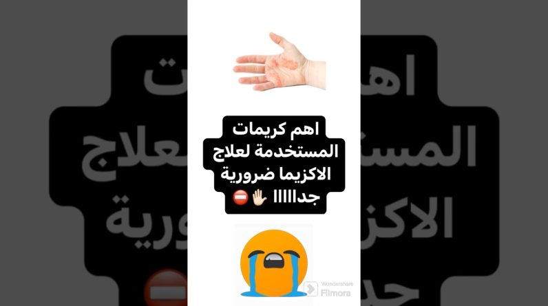 1766152875 maxresdefault