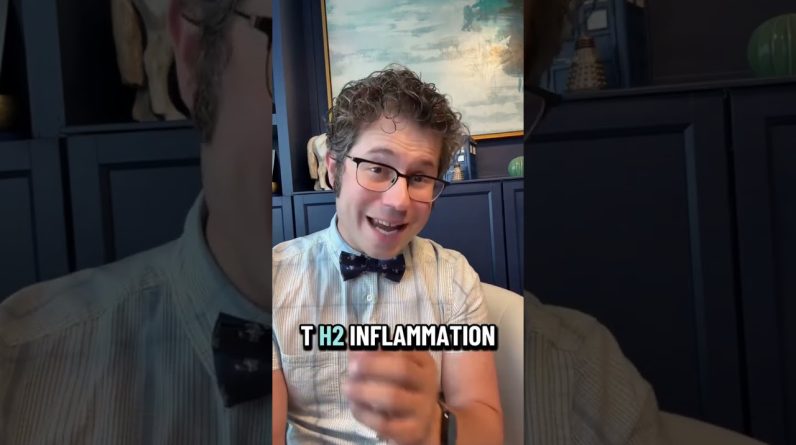 1766162290 maxresdefault