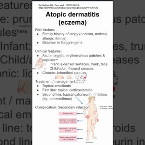 1766180584 maxresdefault