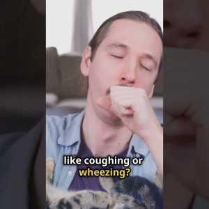 1766182145 maxresdefault