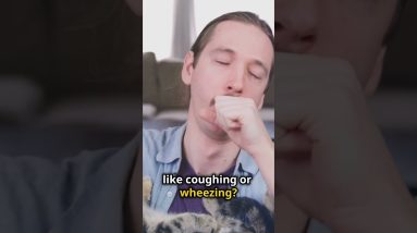 1766182145 maxresdefault