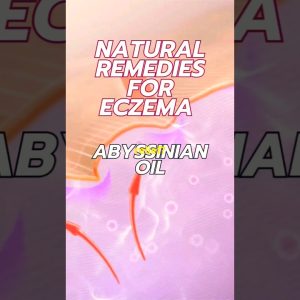 1766185799 maxresdefault