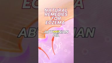 1766185799 maxresdefault