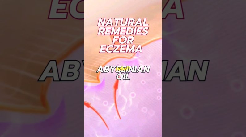 1766185799 maxresdefault