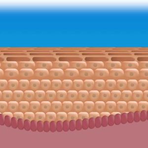 1766195236 maxresdefault