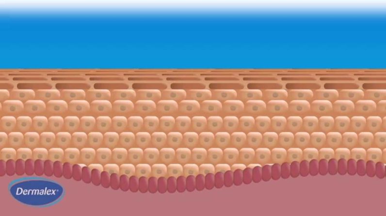 1766195236 maxresdefault