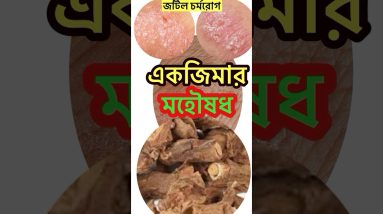 1766204108 maxresdefault