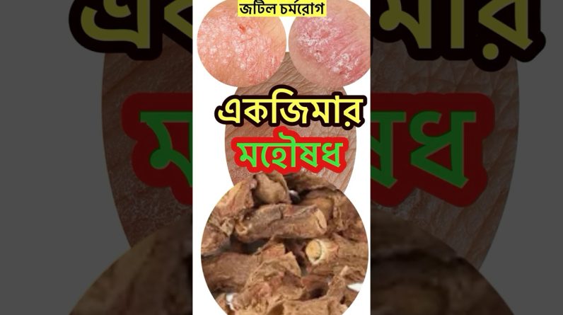 1766204108 maxresdefault