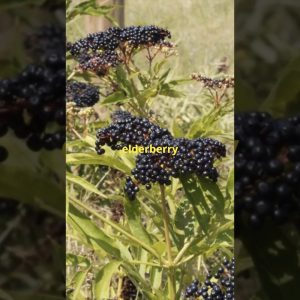 1766211469 maxresdefault