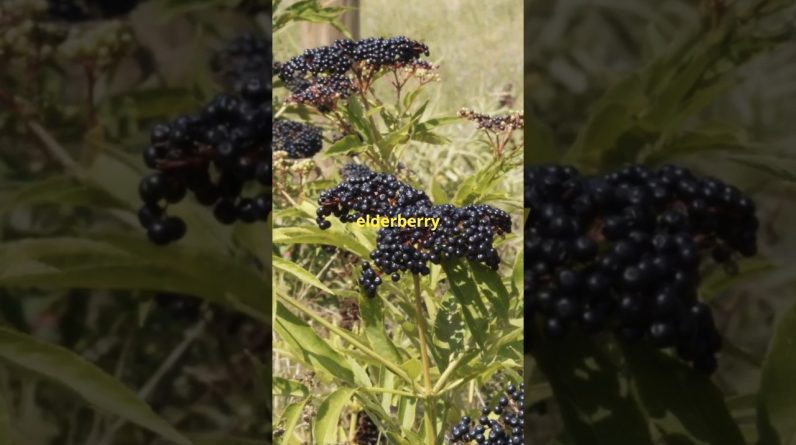 1766211469 maxresdefault