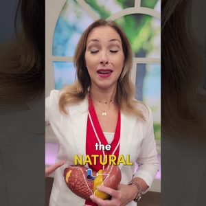 1766221811 maxresdefault