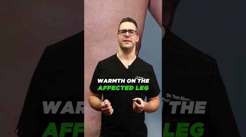 1766224257 maxresdefault