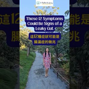 1766236663 maxresdefault