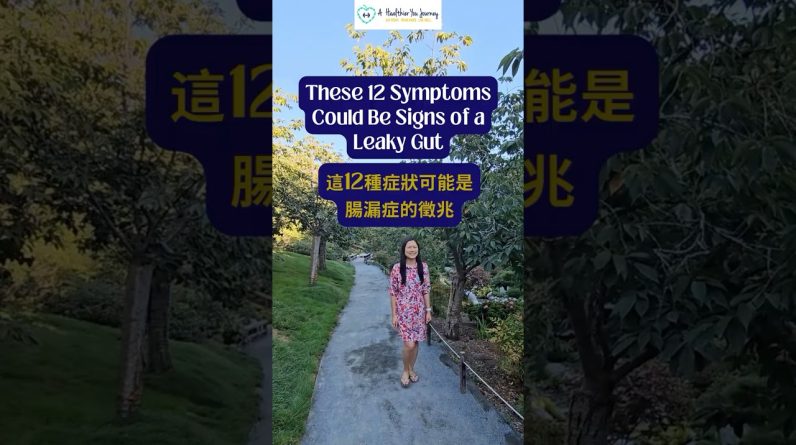 1766236663 maxresdefault