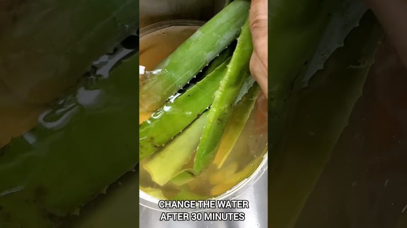 1766238889 maxresdefault