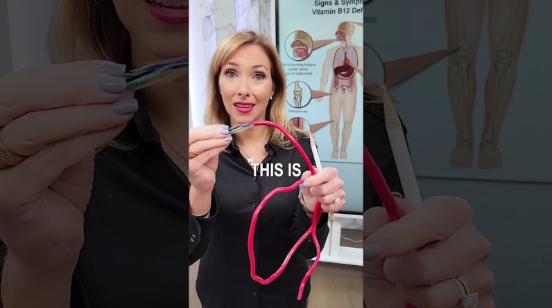 1766240024 maxresdefault