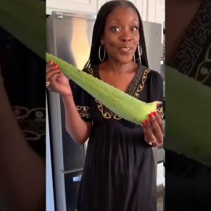 1766243811 maxresdefault