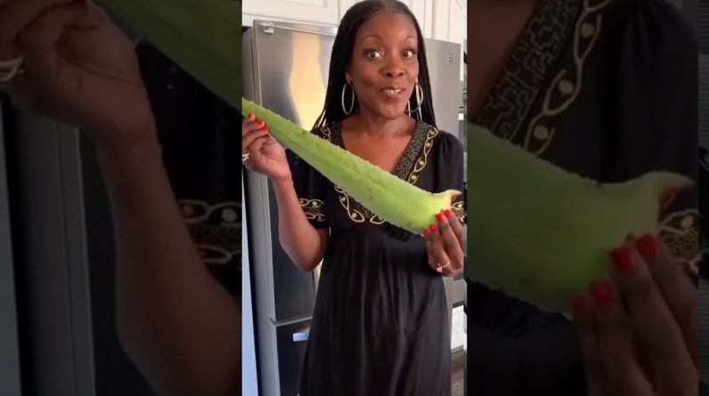 1766243811 maxresdefault