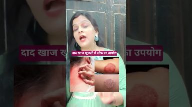 1766248135 maxresdefault