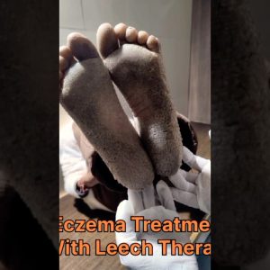 1766251784 maxresdefault