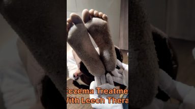 1766251784 maxresdefault