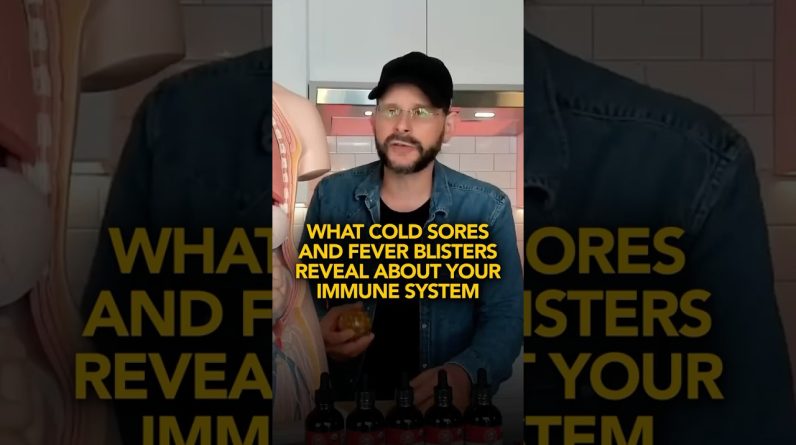 1766253526 maxresdefault