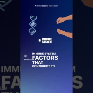 1766294273 maxresdefault