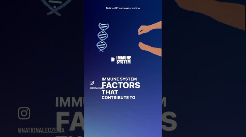 1766294273 maxresdefault