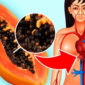 1766295075 maxresdefault