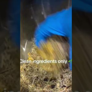 1766301584 maxresdefault