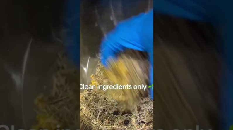 1766301584 maxresdefault