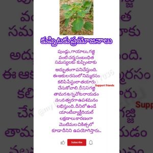 1766306146 maxresdefault